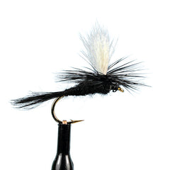 Parachute black gnat