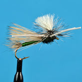 Parachute madam x pmx olive