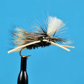 Parachute madam x pmx peacock