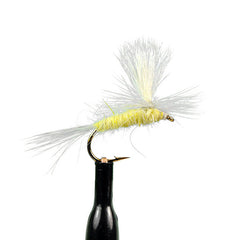 Parachute pale morning dun