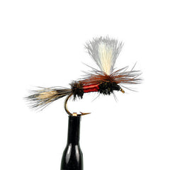 Parachute royal wulff