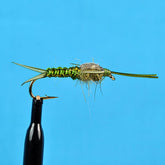 Woven stone fly nymph olive