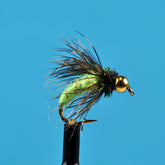 Bead head caddis chartreuse