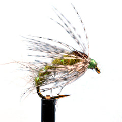 Bead head holy grail olive