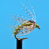 Bead head holy grail olive