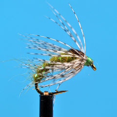 Bead head holy grail olive