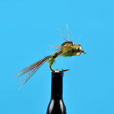 Bead head mayfly nymph olive