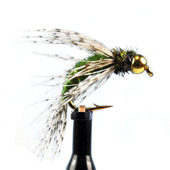 Bead head bird of prey