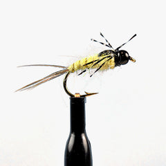 Bead head anatomic bomb