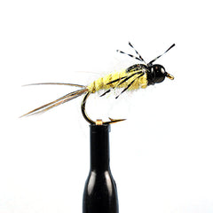 Bead head anatomic bomb