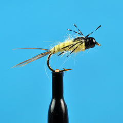 Bead head anatomic bomb