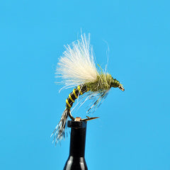 Baetis puff emerger