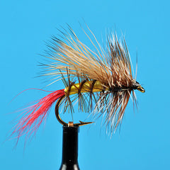 Elk hair caddis grass hopper