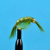 Bead head scud olive