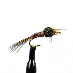 Bead head pheasant tail nymph