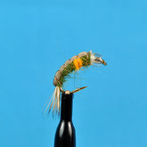 Bead head pregnant shrimp