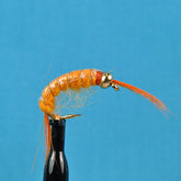 Bead head scud orange