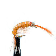 Bead head scud orange