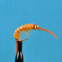 Bead head scud orange