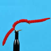 San Juan Worm Red