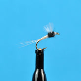 Trico spinner female