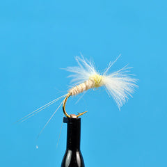 Cdc biot spinner light cahill