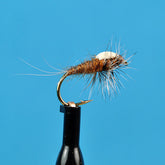 Foam spinner mahogany