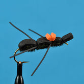 Chernobyl ant black