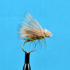 Elk hair caddis olive