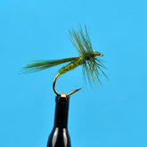 Fluttering caddis olive