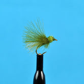Cdc adult caddis olive