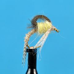 Cdc loopwing emerger cahill