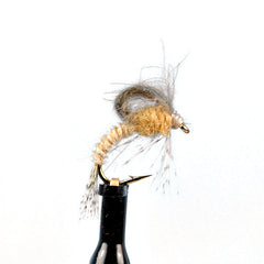 Cdc loopwing emerger tan