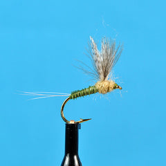 Cdc biot compara dun bwo