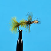 Cripple blue wing olive