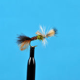 Cripple pale morning dun