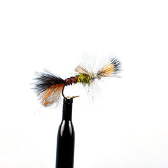 Cripple pale morning dun