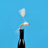 Parasol midge emerger white