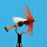 Royal coachman trude