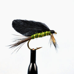 Burnt wing green drake