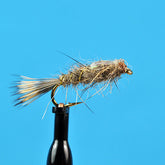 Flash back hare's ear