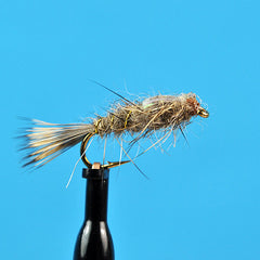 Flash back hare's ear