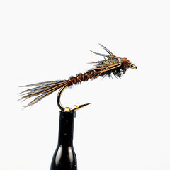 Flash back pheasant tail