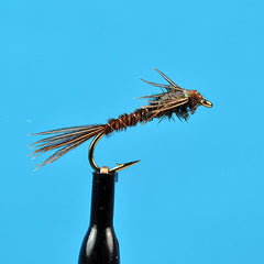 Flash back pheasant tail