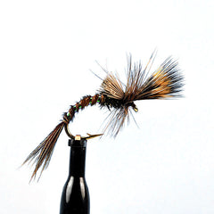 Pheasant tail challenged