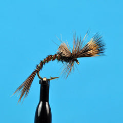 Pheasant tail challenged