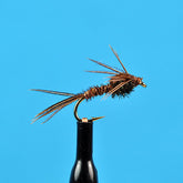 Pheasant tail nymph