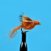 Sparkle caddis pupa brown