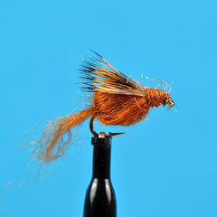 Sparkle caddis pupa brown