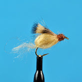 Sparkle Caddis Pupa Dark